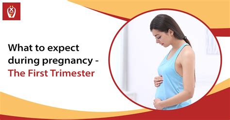 Is Claritin safe during first trimester